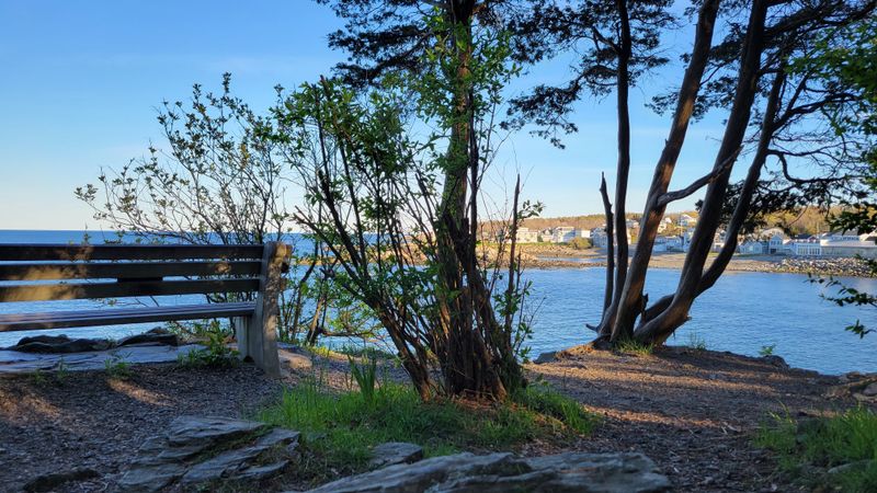 Benches That Become Calm Lookouts