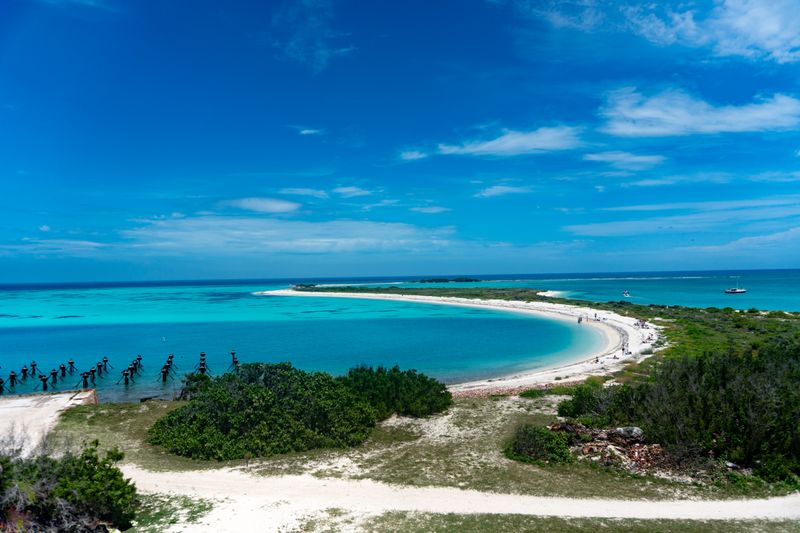 Bush Key, Dry Tortugas