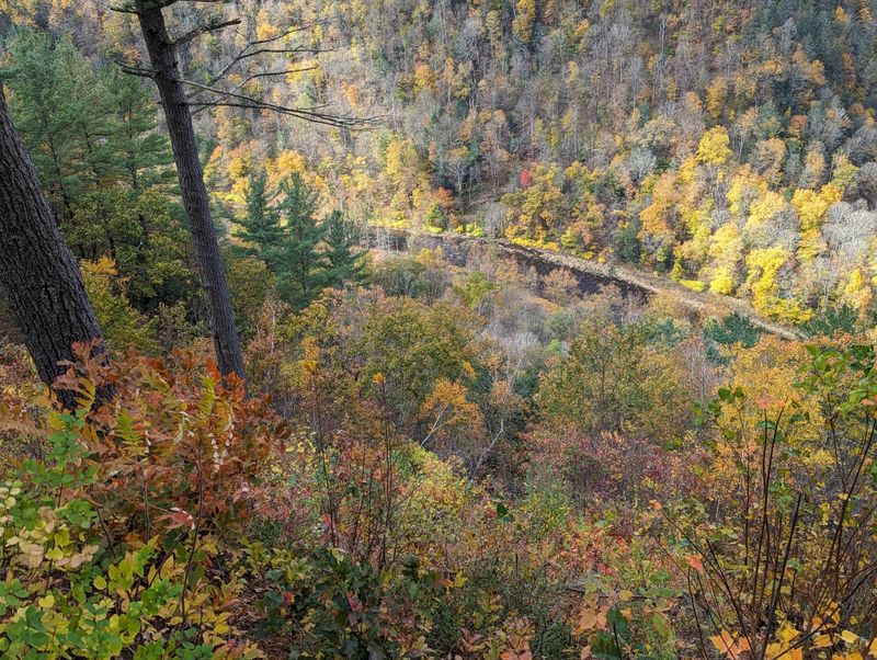 The Enchanting Pennsylvania Grand Canyon Nearby