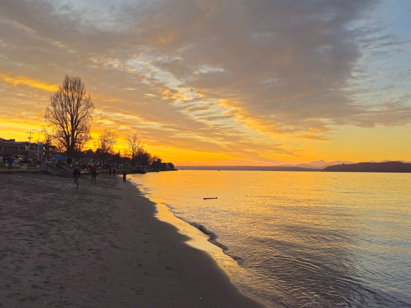 Alki Beach Park