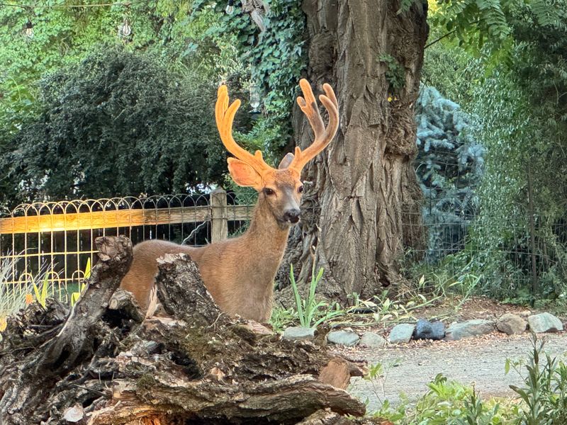 Siskiyou Trails Right At The Edge