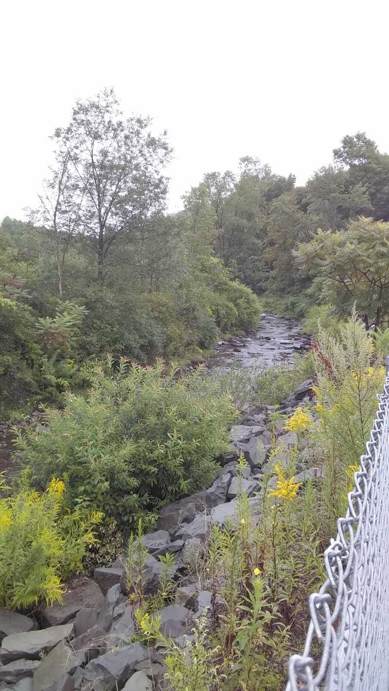 Milford: Victorian Elegance Near the Delaware Water Gap