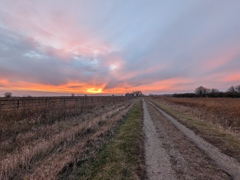 Midewin National Tallgrass Prairie