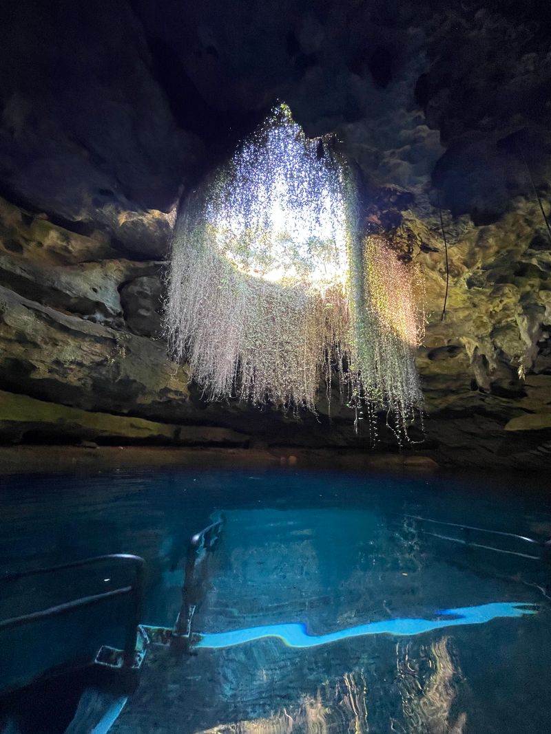 Devil’s Den Prehistoric Spring