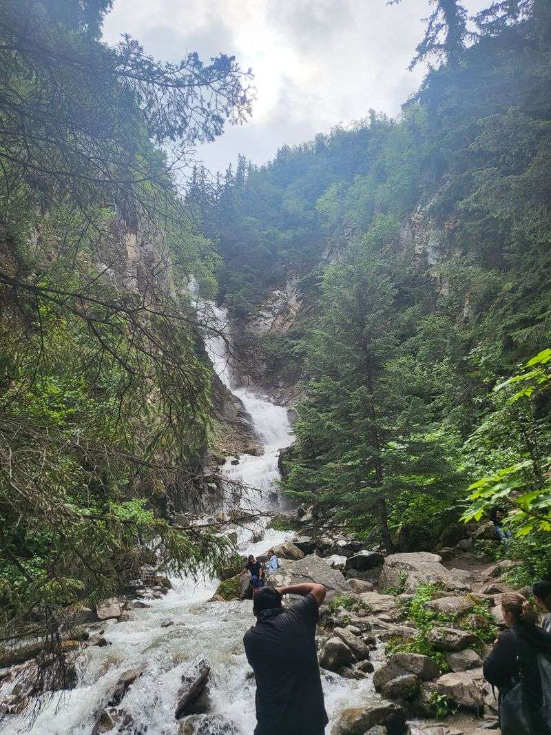 Wildlife Encounters Happen Regularly