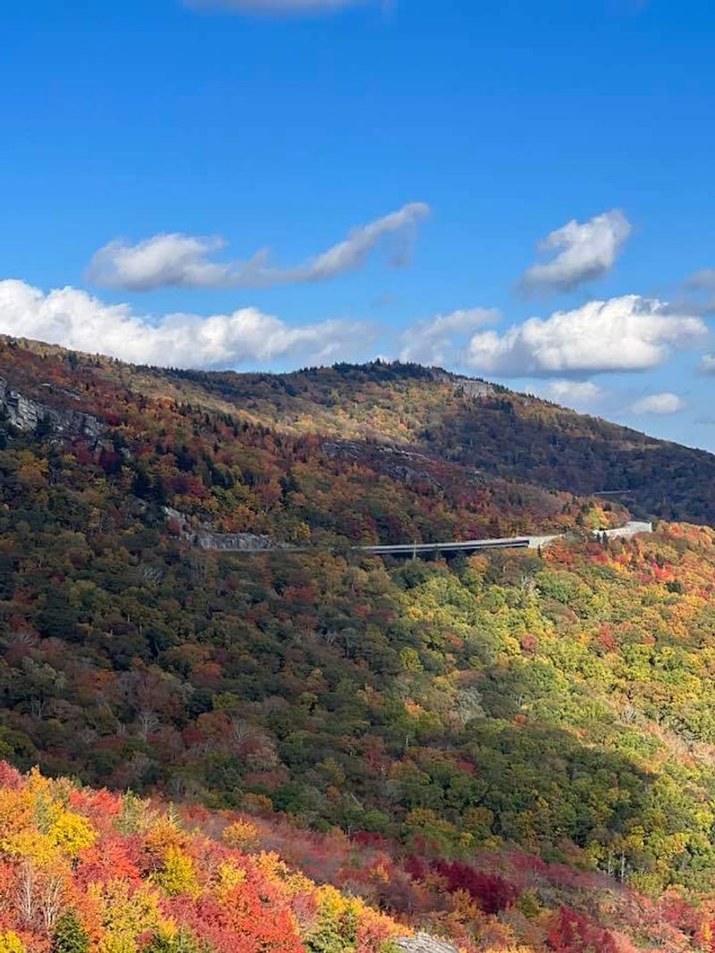 Blue Ridge Parkway Access Opens Scenic Driving Opportunities