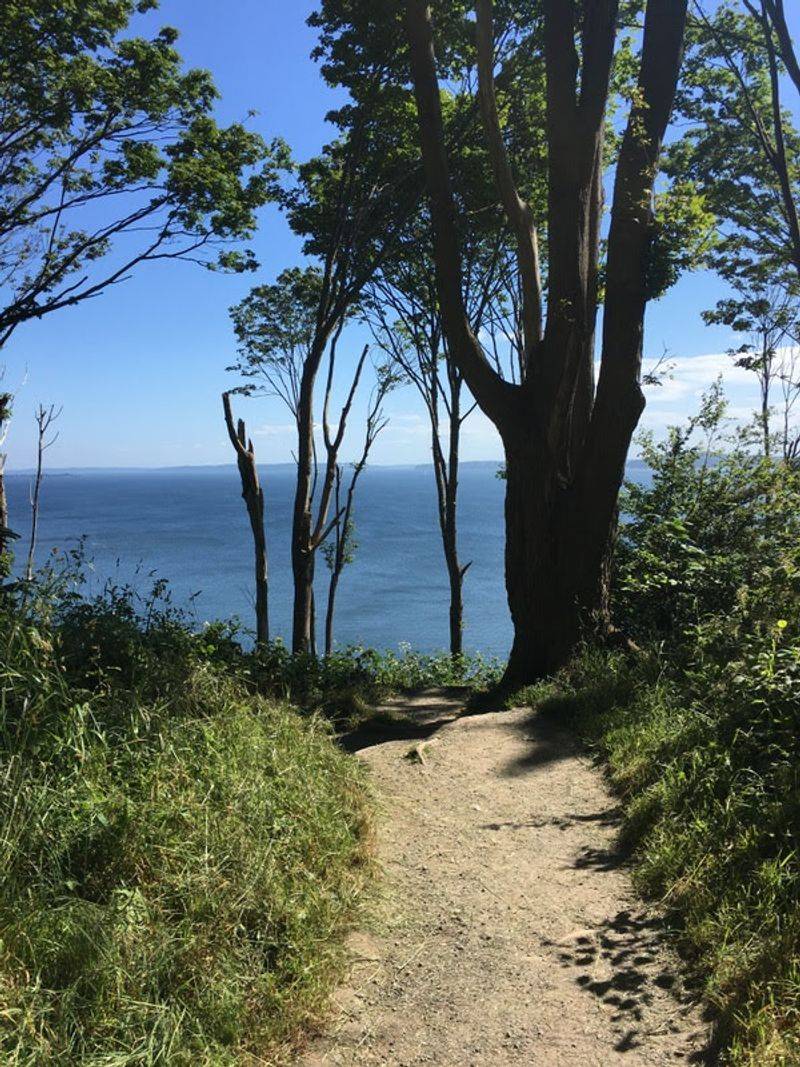 Discovery Park Loop Trail