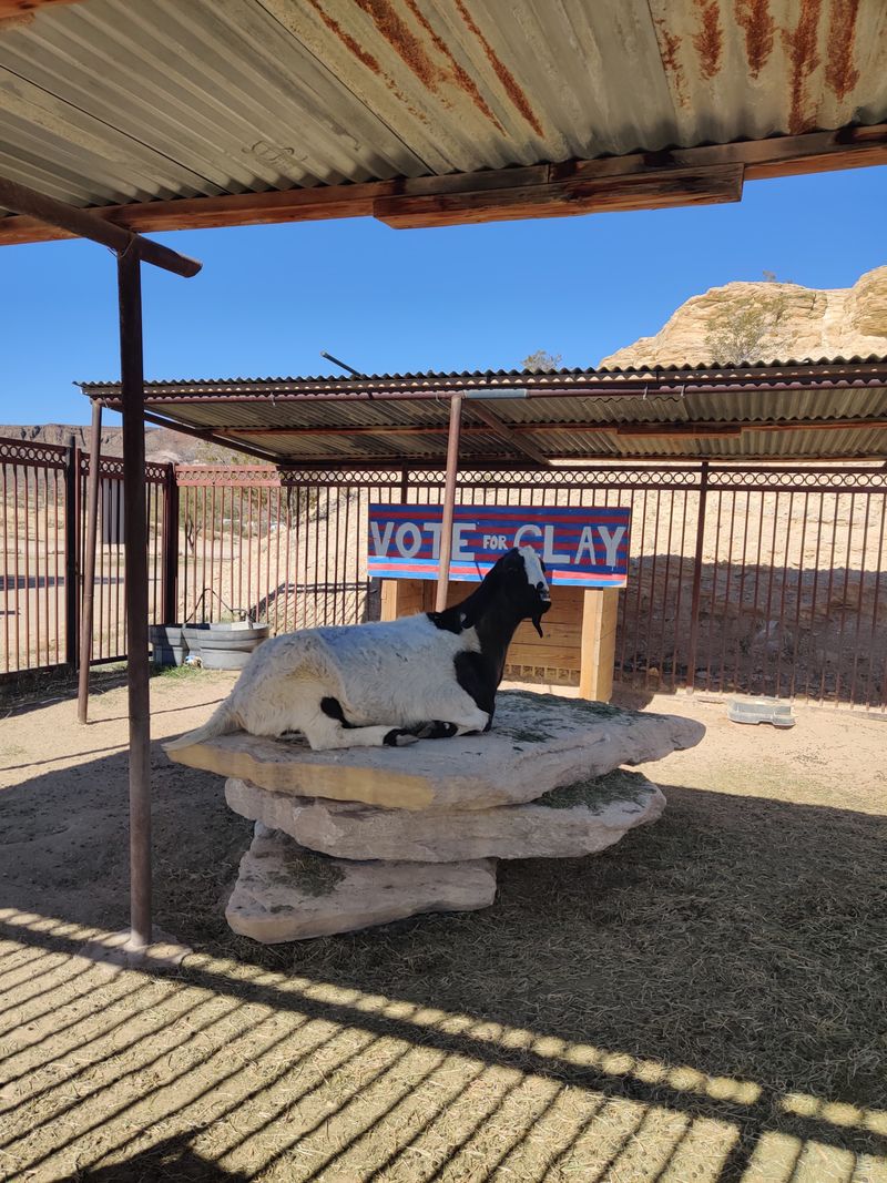 Historic textures and quiet stories