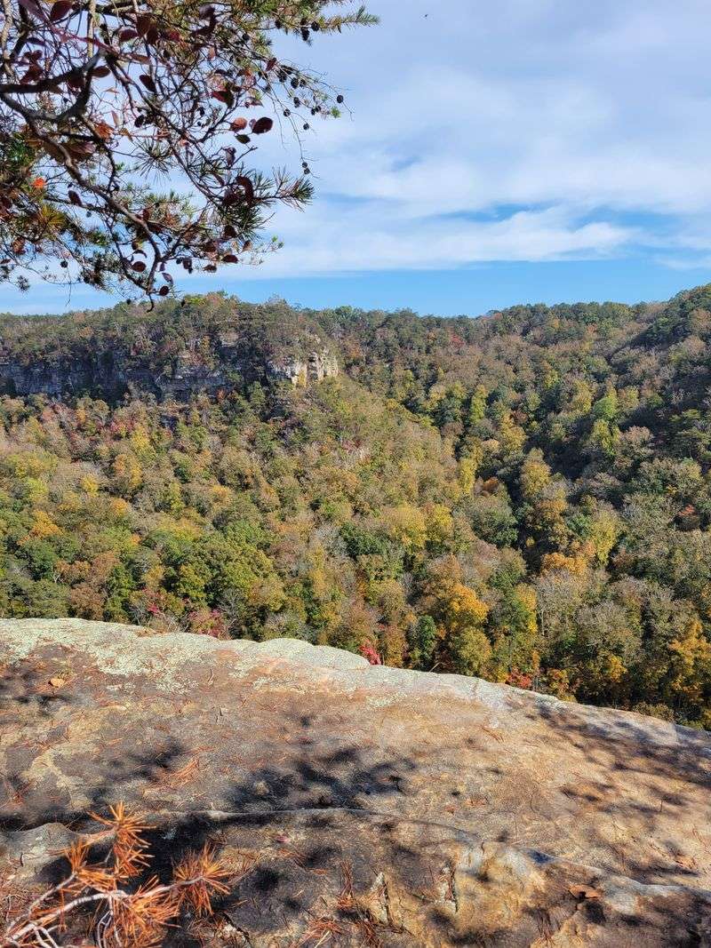 Eberhart Point: Canyon's Most Dramatic Overlook