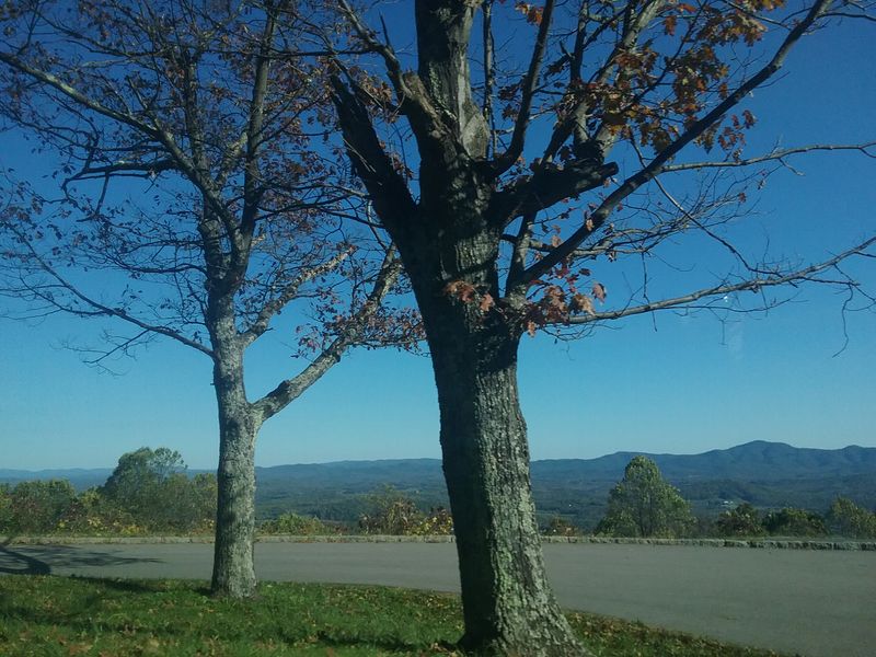 A Road Where Modern Noise Fades Away