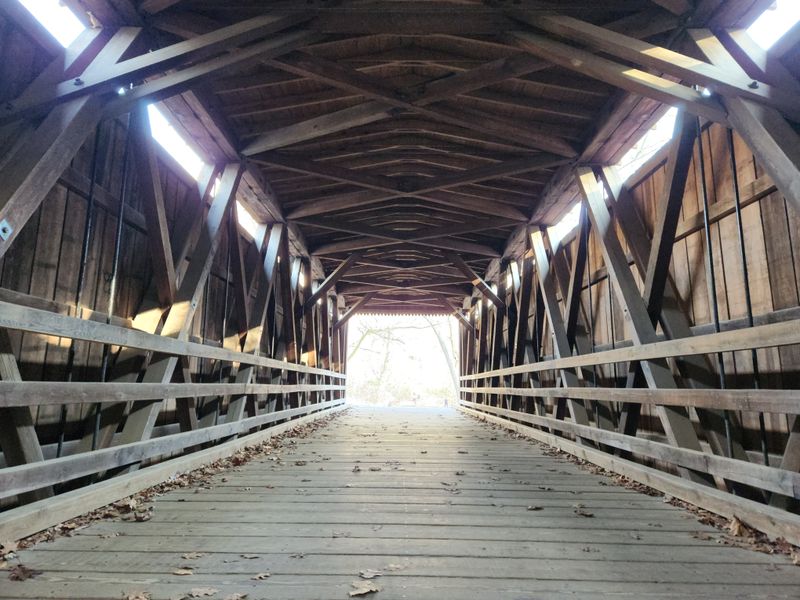 Historic Mosby Creek Covered Bridge