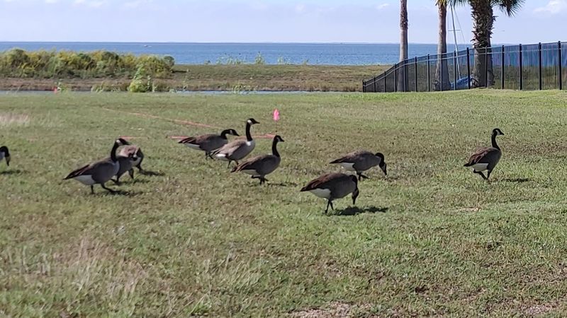 Fox River National Wildlife Refuge