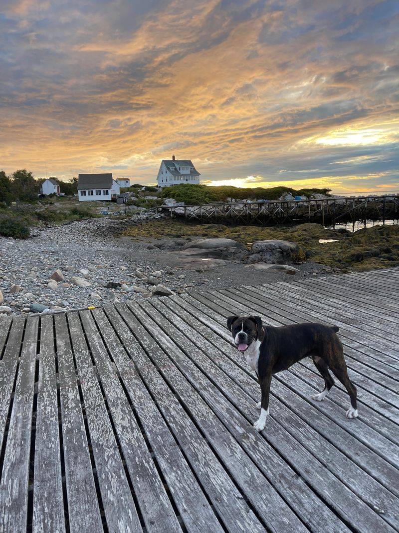 Criehaven Island: A Ghost Community Reborn Each Summer