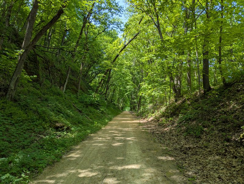 Galena River Trail and Pedestrian Bridge