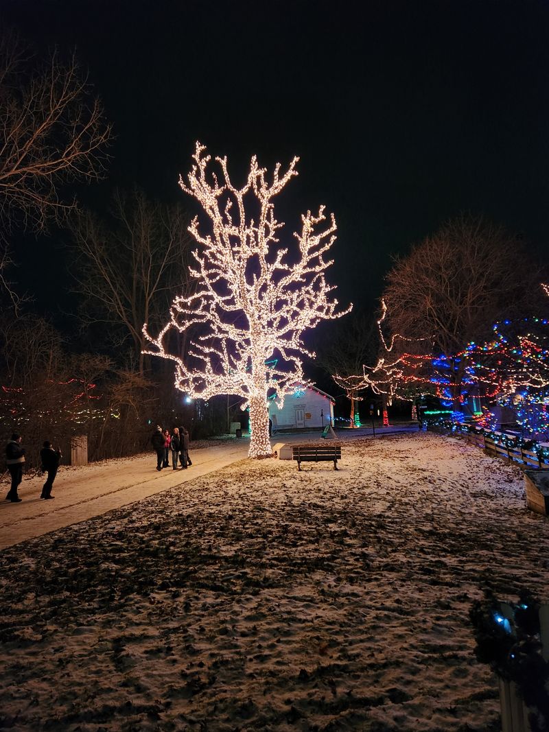 Crossroads Village, Flint