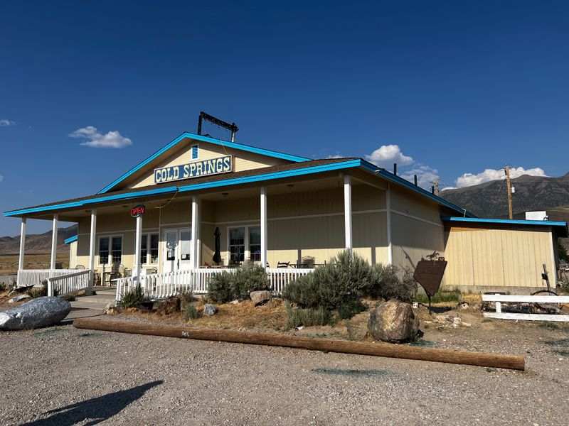 Cold Springs Station Picnic Pullout, Desatoya foothills