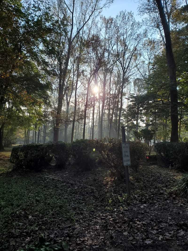 Hot Chocolate Walks Between Frosty Cabins
