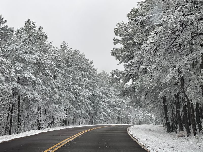 Talimena Scenic Drive Winter Colors Tour