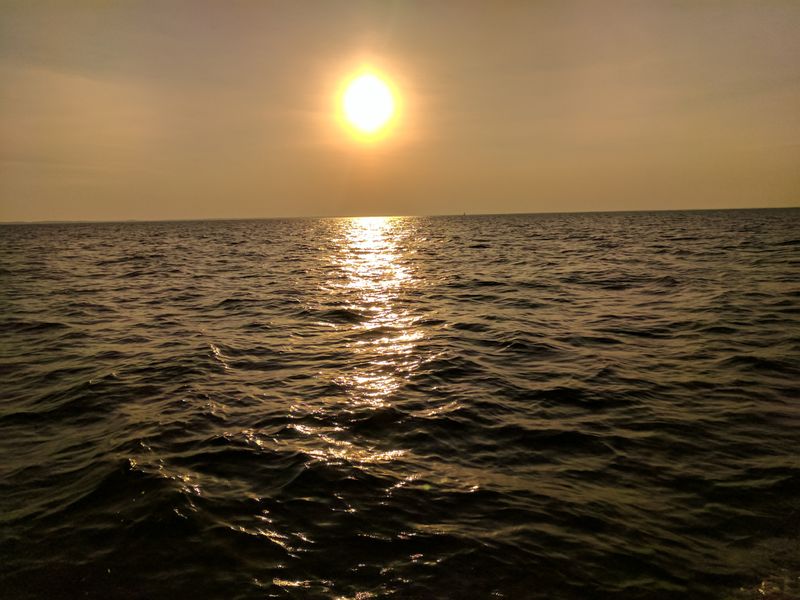 Chester River Barge Wreck, Kent Island Side