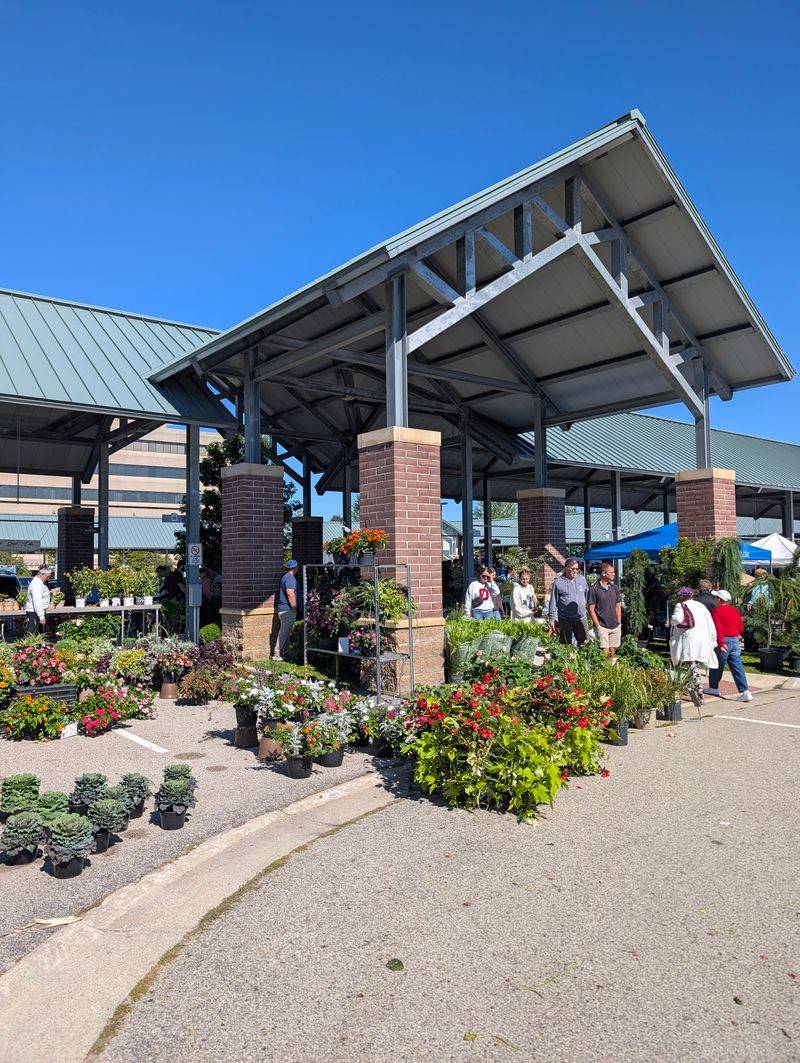 Exclusive Identification Bracelets