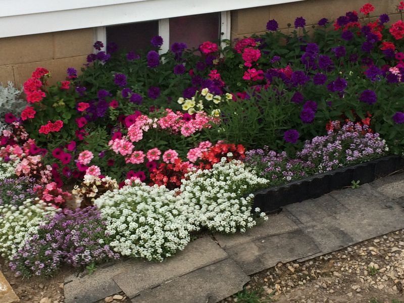 Farm-Fresh Produce and Flowers