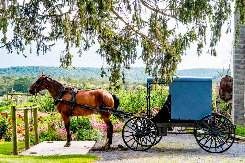 Sunday Silence Blankets the Countryside