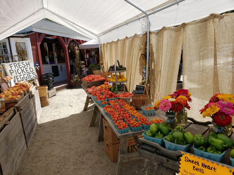 Roadside Produce Stands Running on the Honor System
