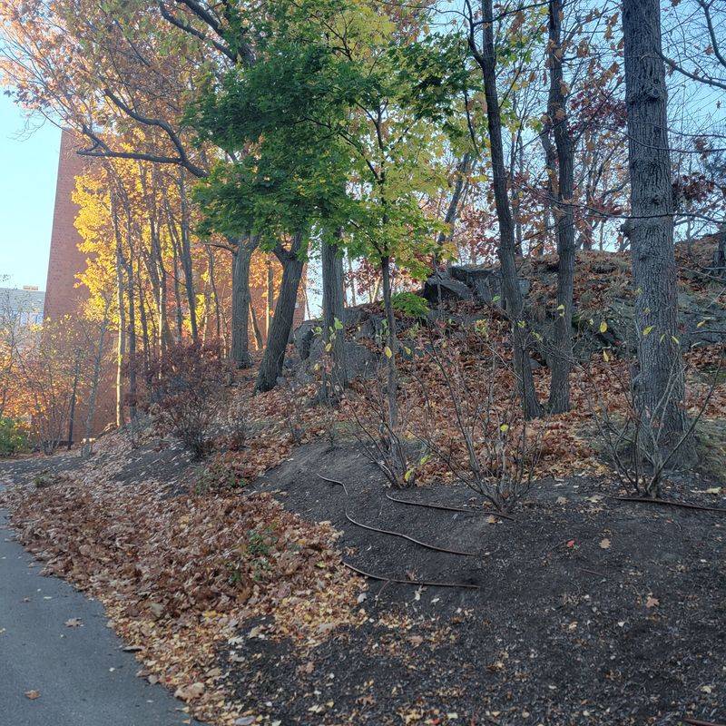 Multigenerational Families Live in the Same Towns for Centuries