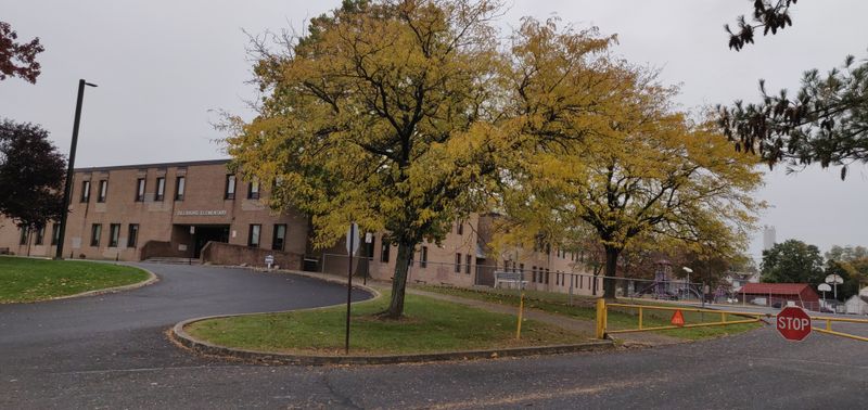 The Dillsburg Pickle Drop, Dillsburg Elementary School, 202 S Chestnut St, Dillsburg, PA 17019