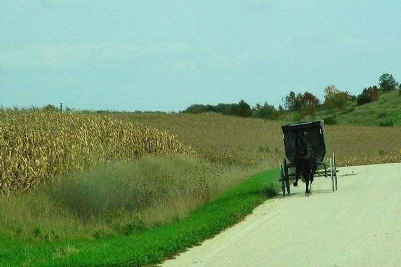 Amish Tours of Harmony