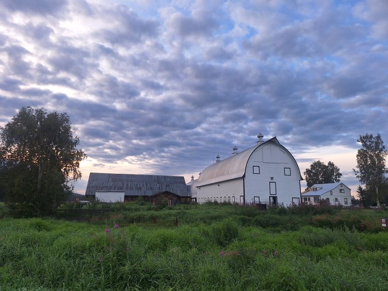 Creamer’s Field Migratory Waterfowl Refuge, 1300 College Rd, Fairbanks, AK 99701