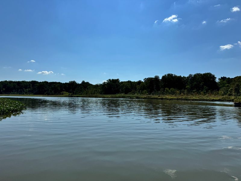 Fishing Bay Marshes Area