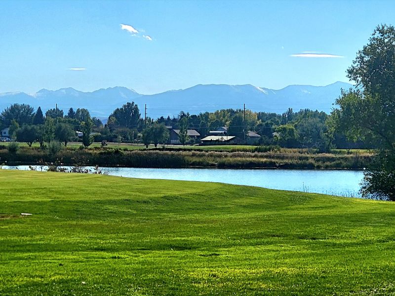 Blue Ribbon Water, Trout and Time