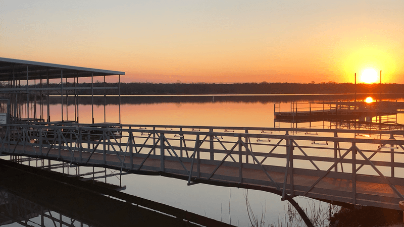 Zebra Mussels On Docks And Boat Hulls
