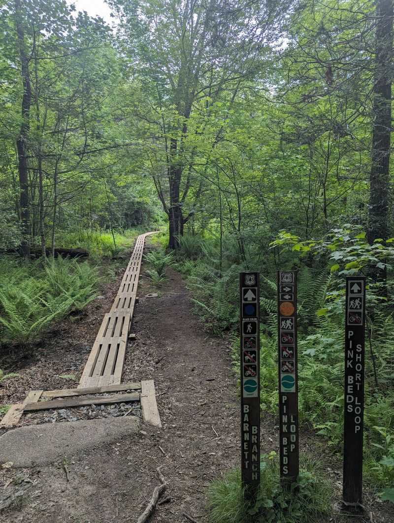 Pisgah Forest Overlooks and Switchbacks