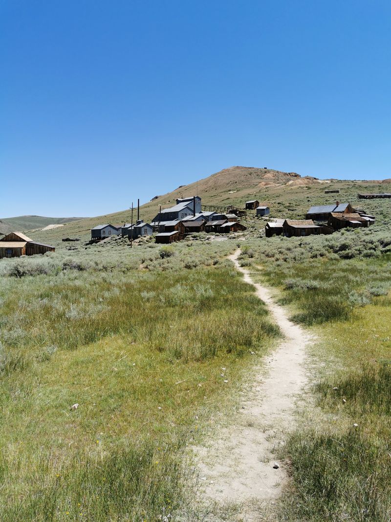 Wildlife At The Edge Of Town