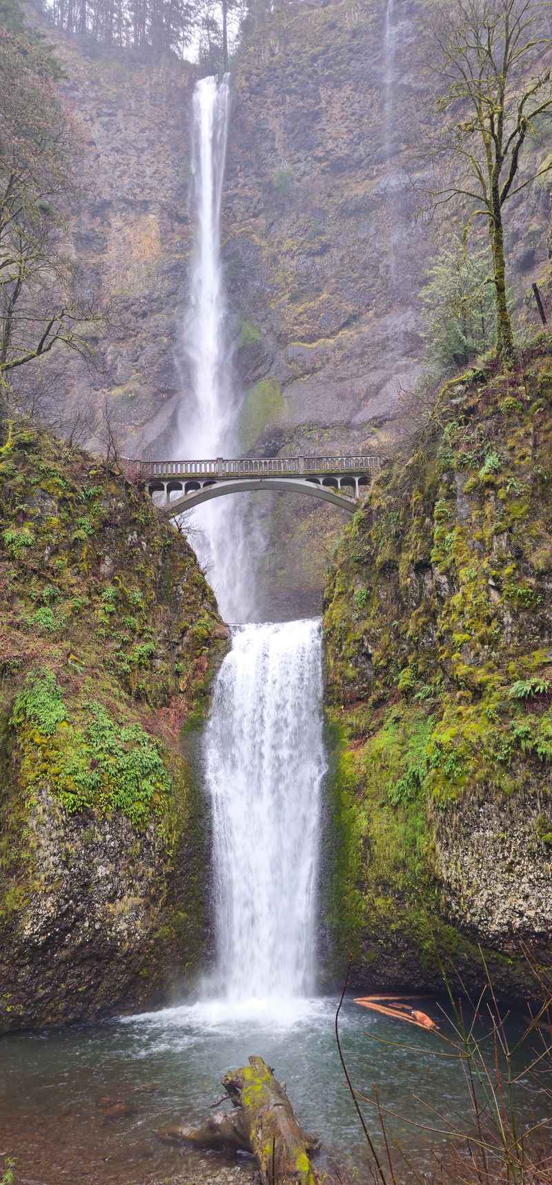 Visit Multnomah Falls, 53000 E Historic Columbia River Hwy Corbett, OR 97019