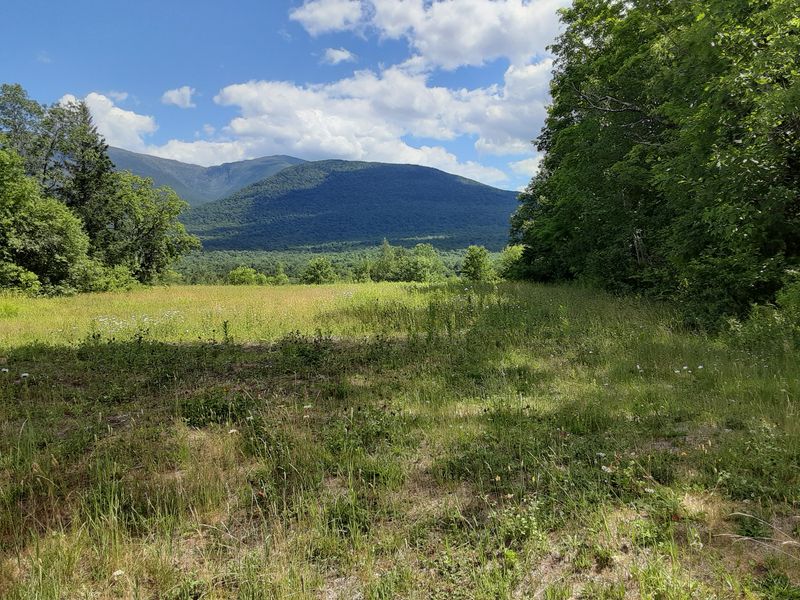 Ultimate Seclusion and Quiet