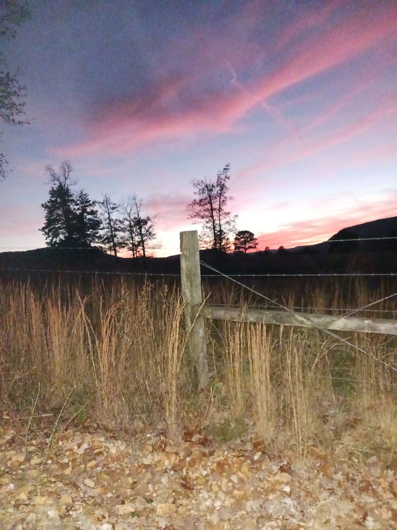 Early Morning Light That Feels Almost Cinematic