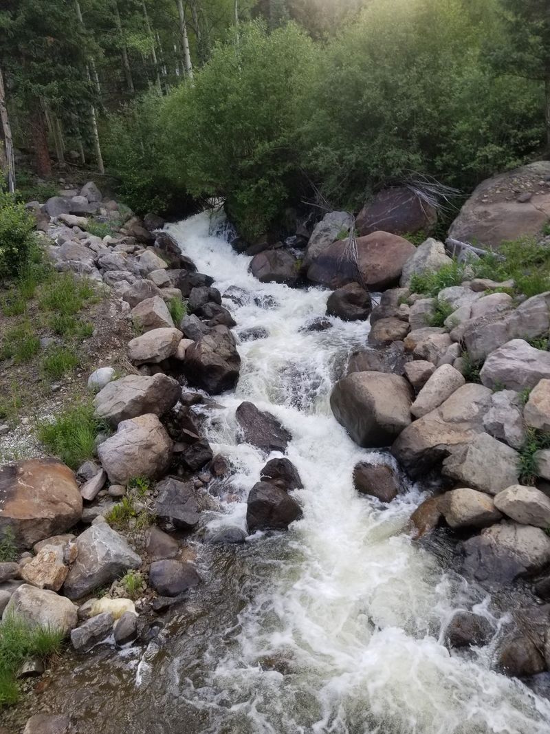 Focus on Natural History Over Modern Amenities