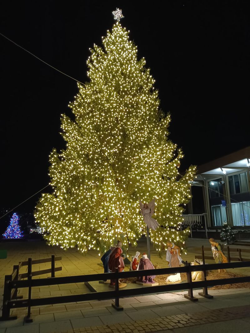Winter Light Spectacular at Lehigh Valley Zoo