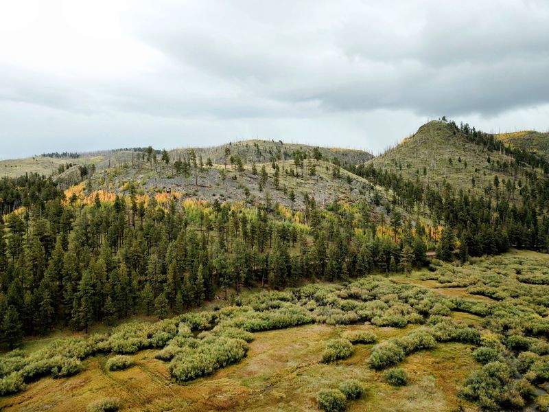 Wildlife Viewing and Natural Solitude