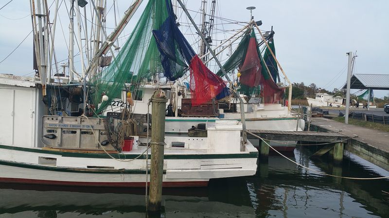 World-Famous Oyster Culture and Seafood