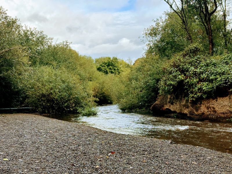 The Quiet Beauty of Marys River Winding Through Town