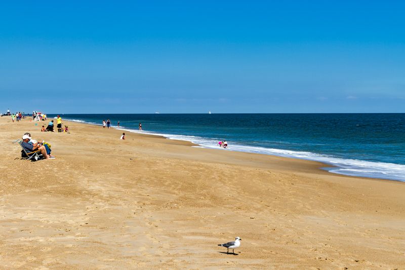 Cape Henlopen State Park's Untouched Coastal Wilderness