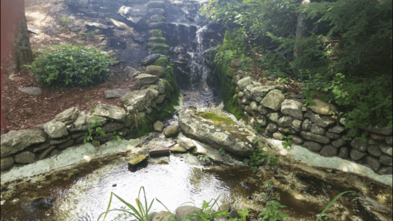 Annie Cannon Gardens Showcases Winter Landscape Design