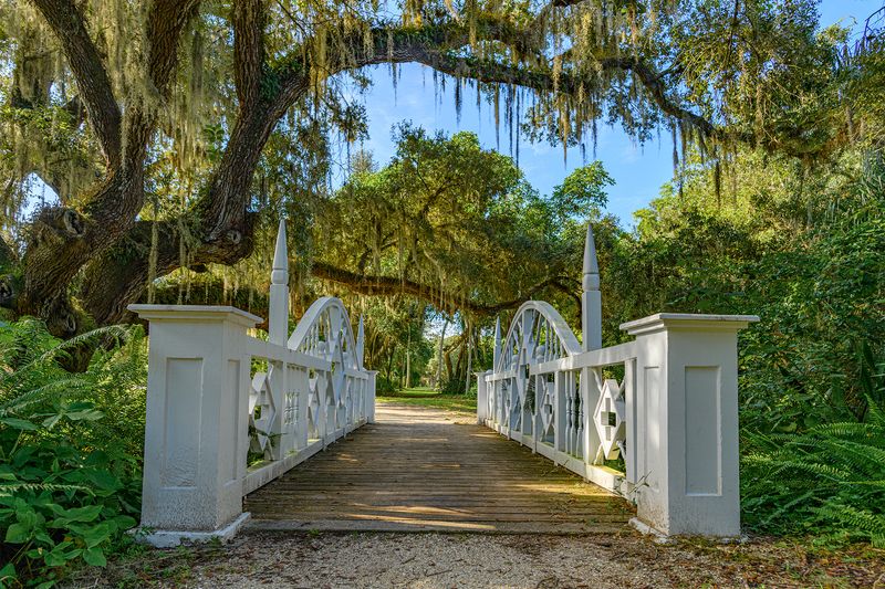 A Florida Park Where Stillness Tells the Story