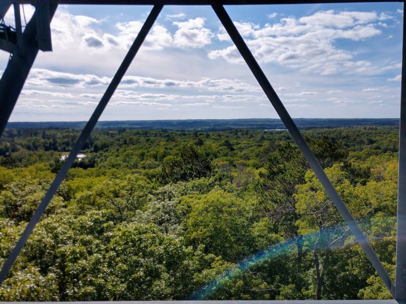 Snowshoeing Adventures Off-Trail
