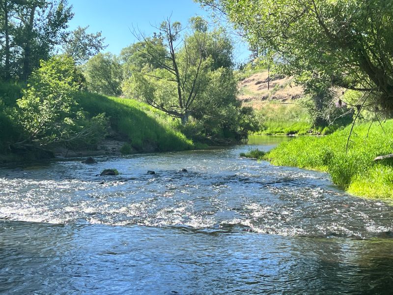 Palouse Falls Day Trip From Town