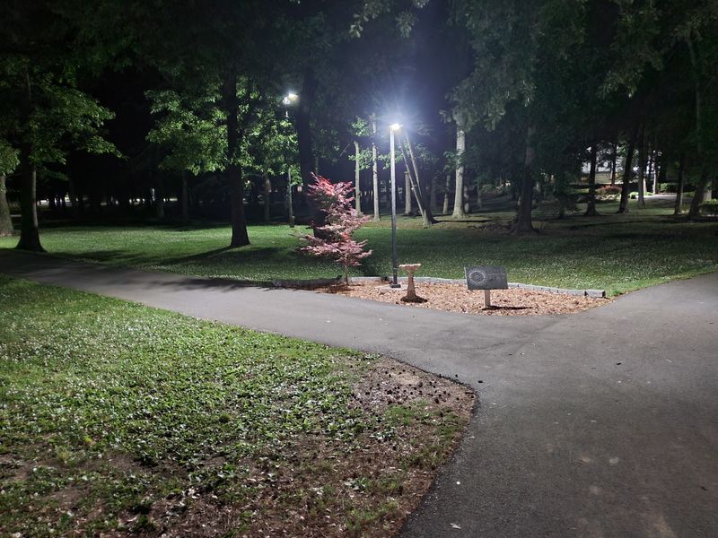 Two Million Lights Around Old Farm Buildings